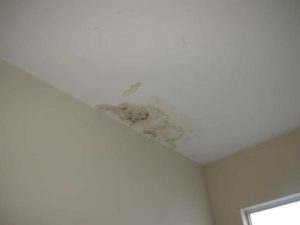 Katy Home Inspection Water Leak